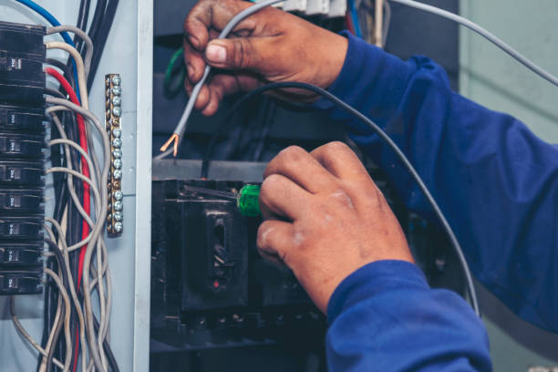 Best Ceiling Fan Installation Electrician  in Lake Kiowa, TX